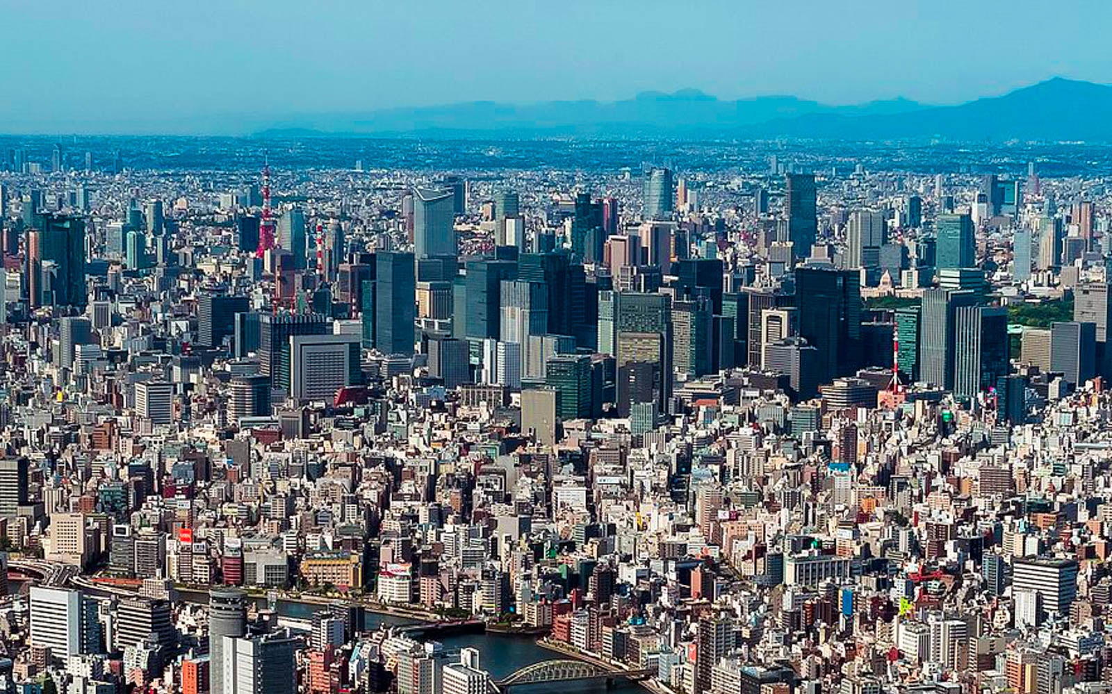 Tokyo Skytree towering over cityscape with clear sky, view from observation deck.