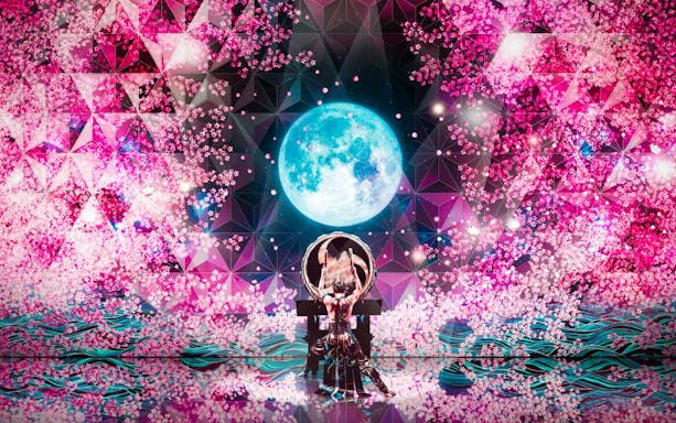 Performer playing taiko drum under vibrant cherry blossom and moon backdrop at Japanese Drum Show 「MANGEKYO」.