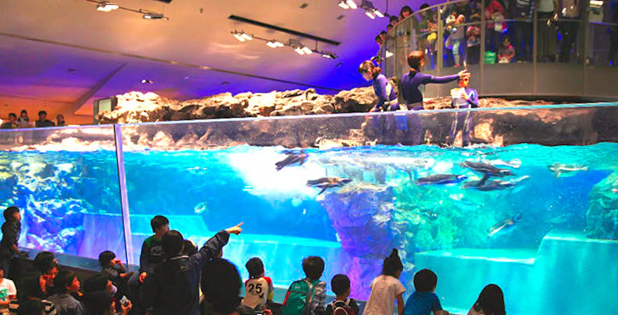 Visitors observing penguins swimming at Sumida Aquarium, Tokyo.