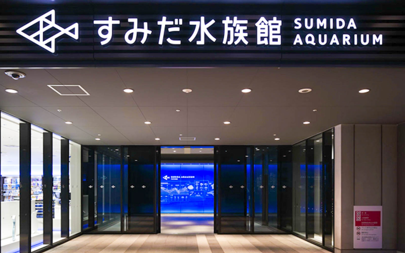 Visitors observing jellyfish at Sumida Aquarium, Tokyo, with admission ticket.