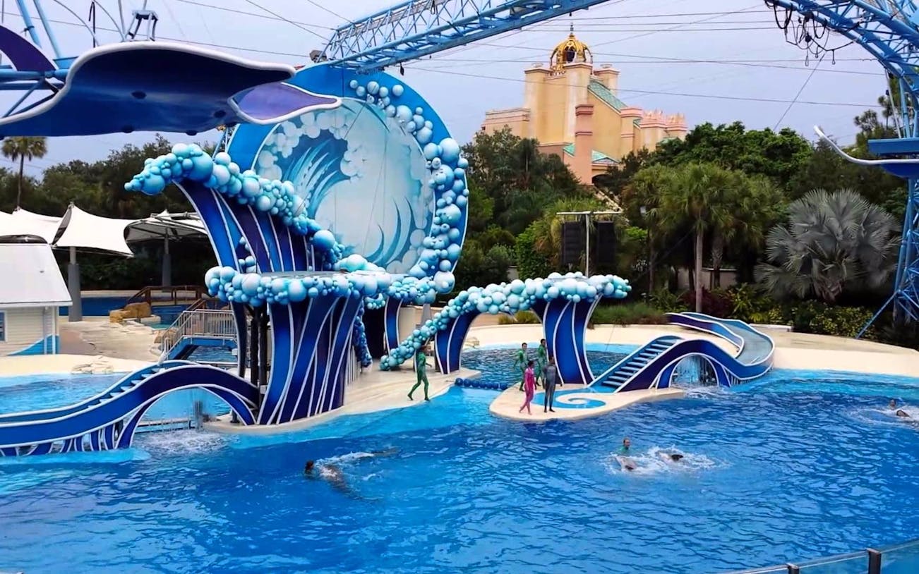 SeaWorld Orlando dolphin show with performers on stage and dolphins swimming in the pool.