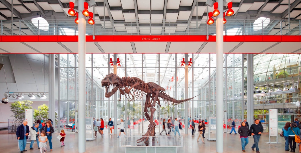 California Academy of Sciences