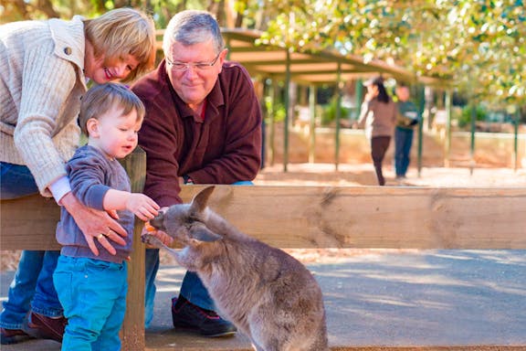 tickets to featherdale wildlife park-5