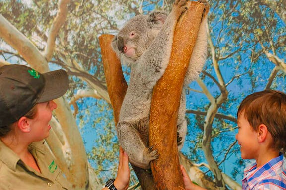 tickets to featherdale wildlife park-7