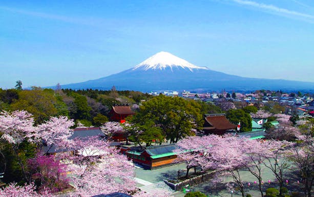 Mt. Fuji with cherry blossoms and traditional buildings in foreground, Japan.