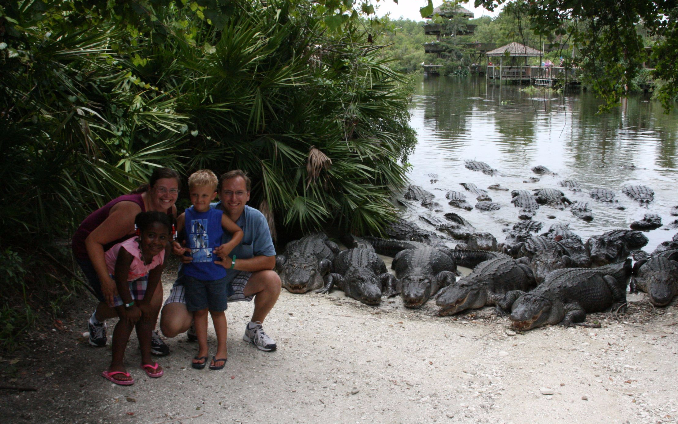 Gatorland rules