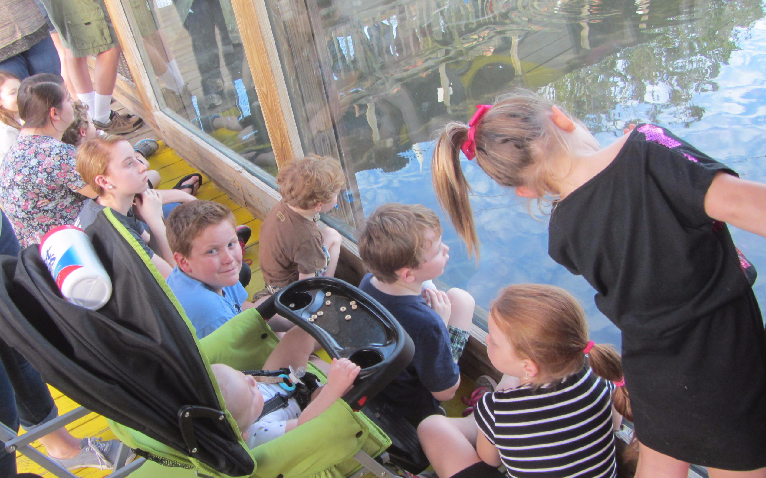 Gatorland Attractions