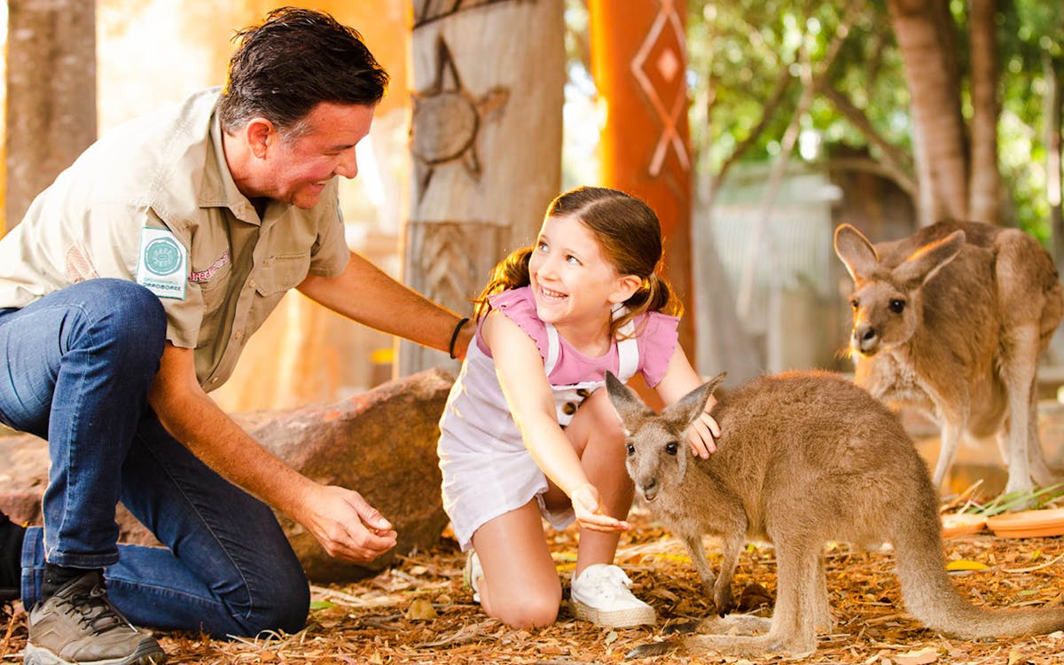 dreamworld and whitewater world gold coast 1- day ticket-6 dreamworld and whitewater world gold coast 1- day ticket-6