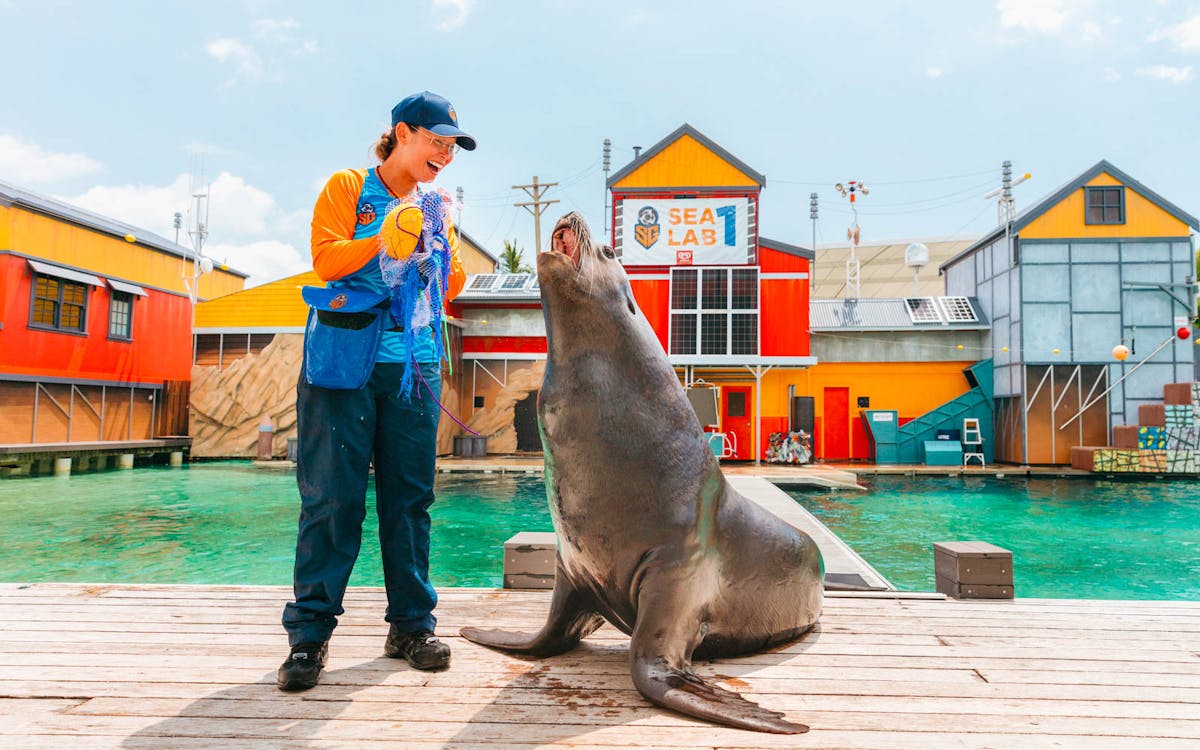 sea world single day pass-6 sea world single day pass-6