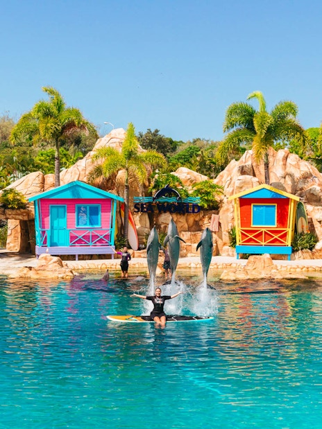 Dolphin show at Gold Coast Sea World with colorful beach huts in the background.