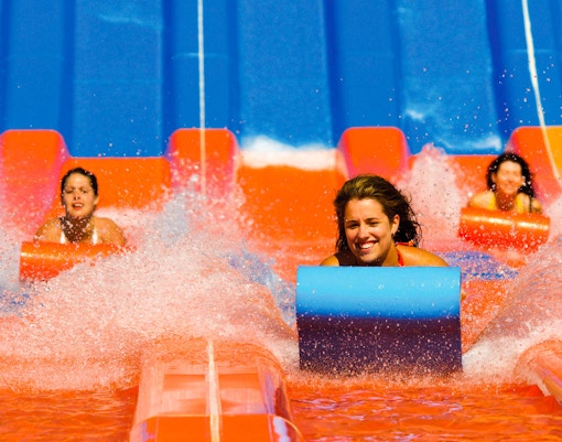 Rides At Wild Wild Wet