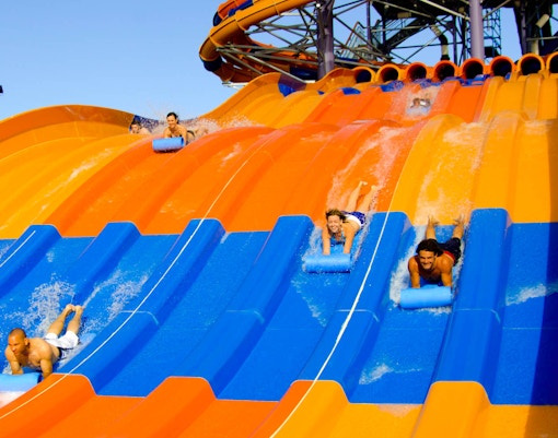 Rides At Wild Wild Wet