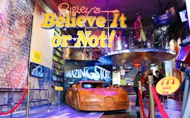 Ripley's Believe It or Not!