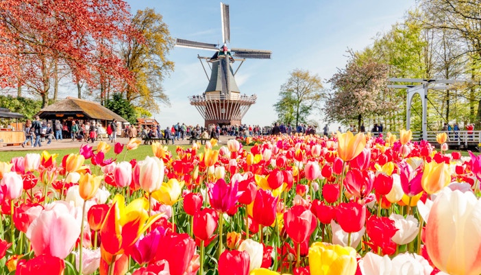 parque keukenhof