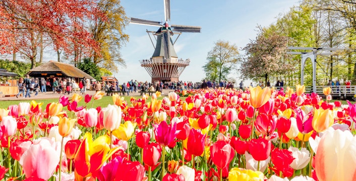 Genießen Sie Frühbucherrabatte!
