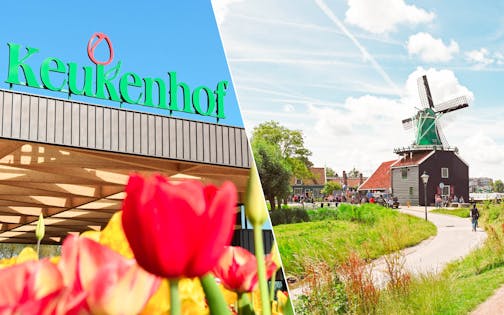 Keukenhof and Zaanse Schans Tour with Optional Amsterdam Canal Cruise