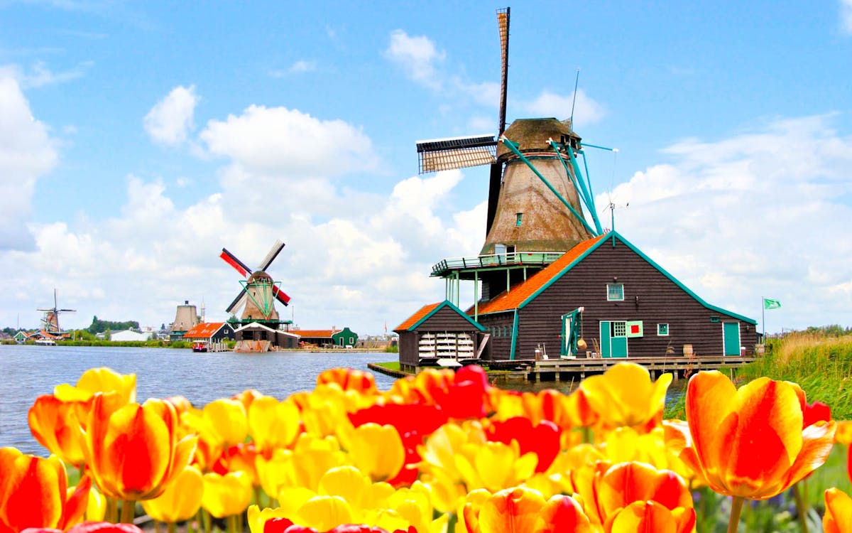 half day guided tour of keukenhof & zaanse schans with this is holland-7 half day guided tour of keukenhof & zaanse schans with this is holland-7
