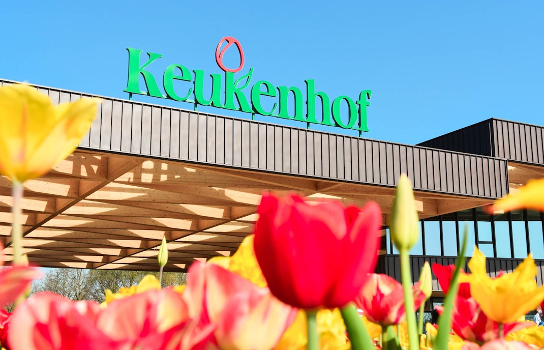 jardin keukenhof