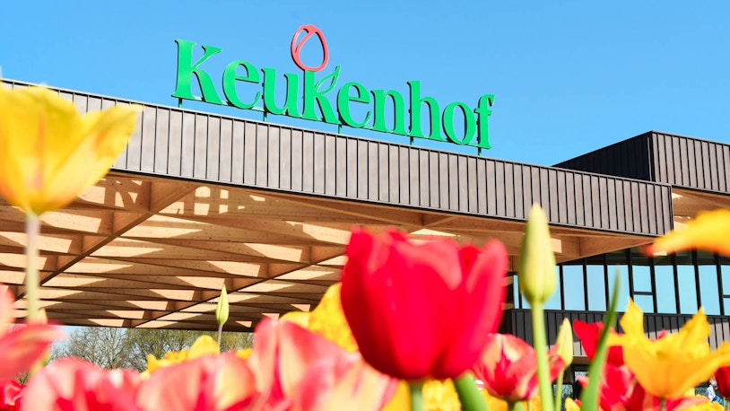 jardins keukenhof