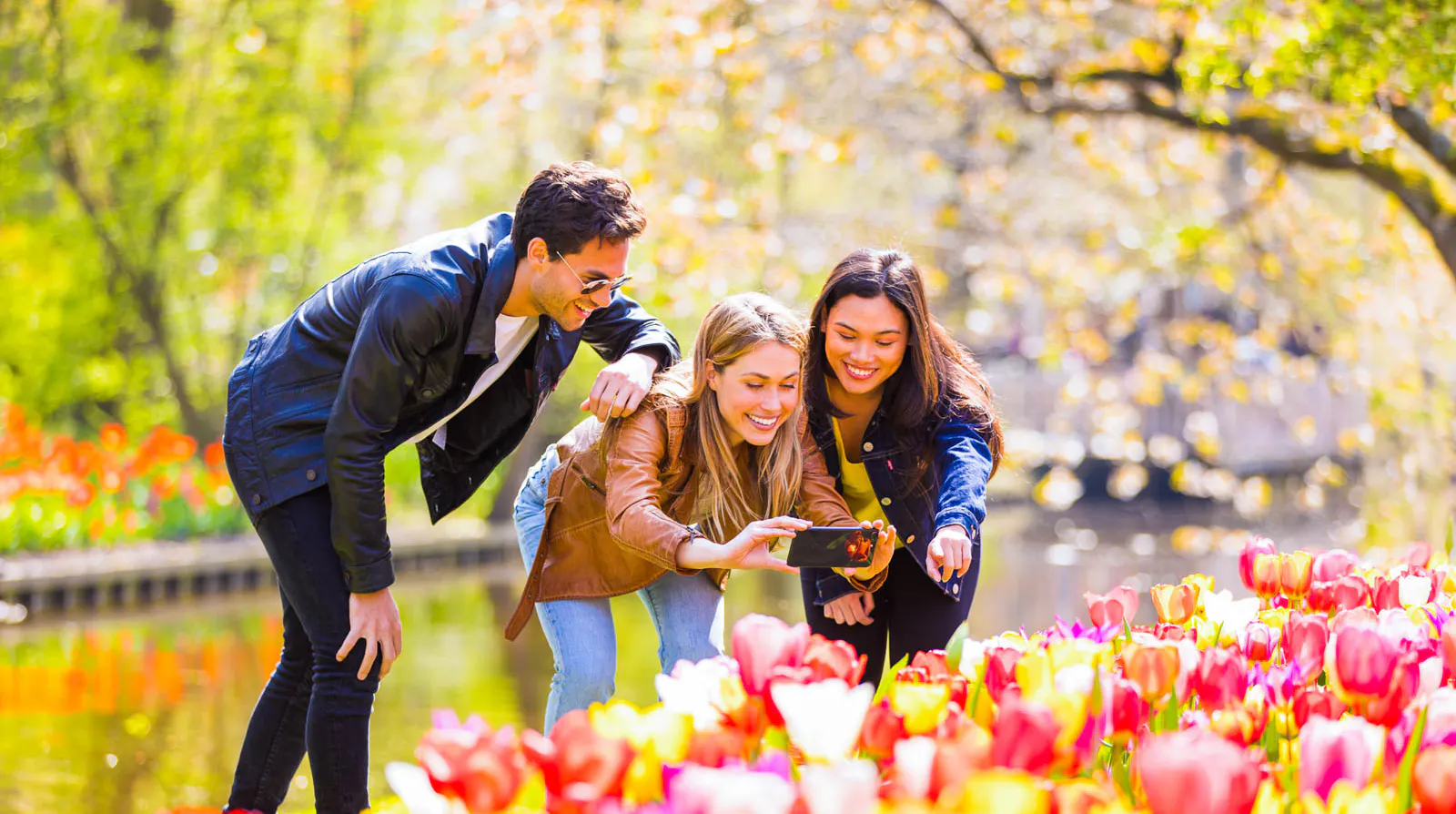 Keukenhof Tulip Garden Amsterdam