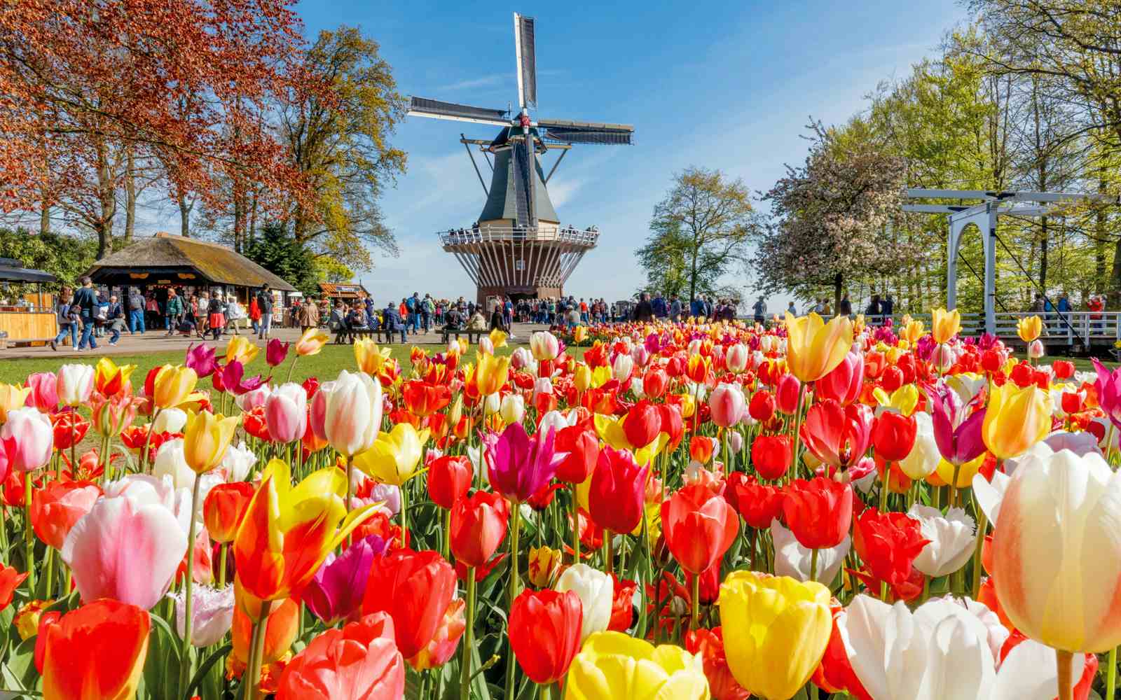 Free things to do in Amsterdam