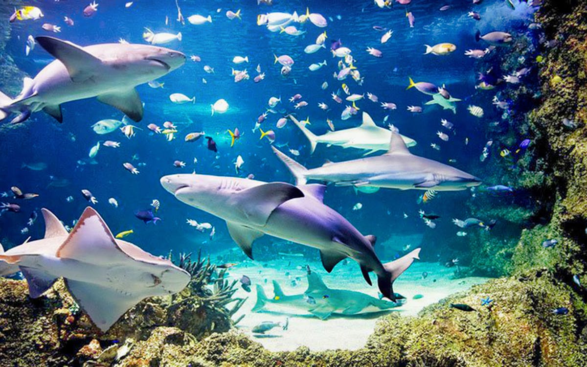 istanbul city tourist pass: access to 100+ attractions & services-7 istanbul city tourist pass: access to 100+ attractions & services-7