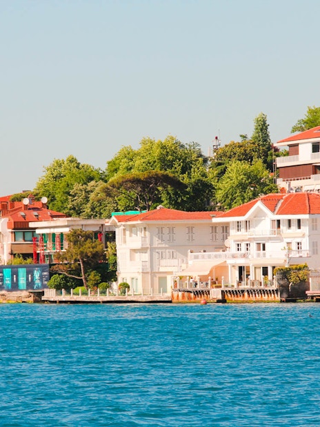 Bosphorus waterfront with colorful houses and lush greenery during a lunch cruise.