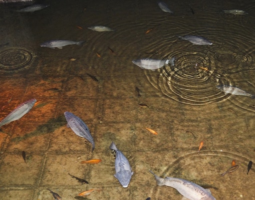 Basilica Cistern