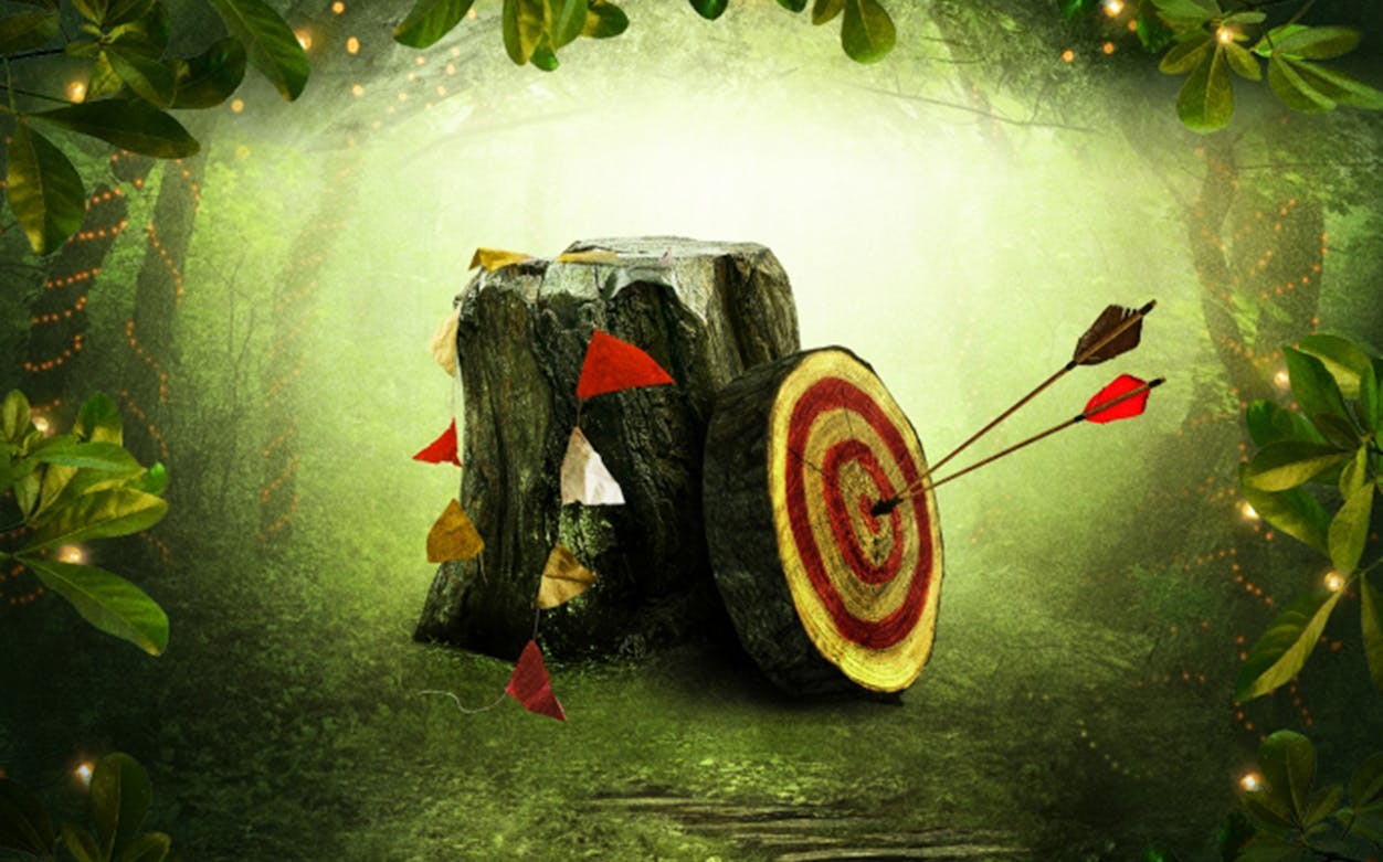 Arrows hitting a target on a tree stump in a forest, evoking Robin Hood.