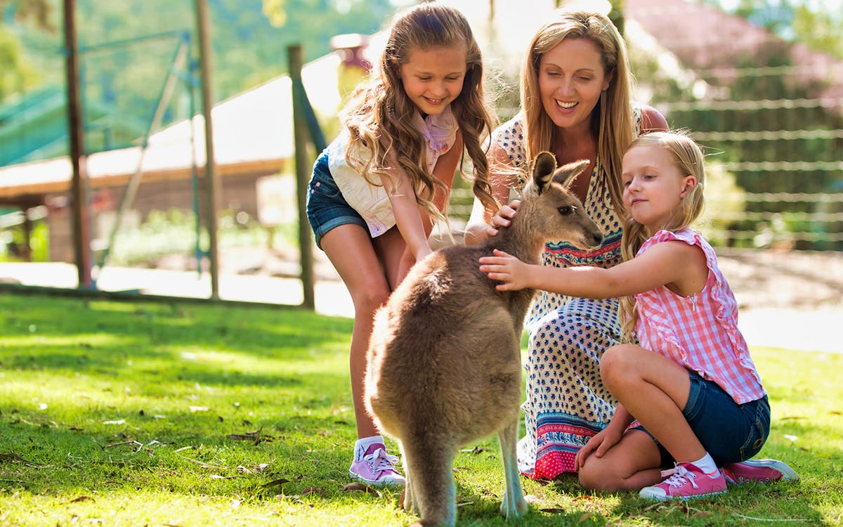 gold coast theme park combos-7 gold coast theme park combos-7