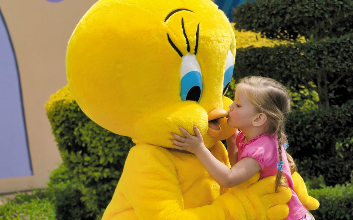 gold coast theme park combos-8 gold coast theme park combos-8