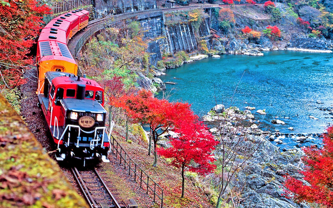 Sagano Romantic Train passing through vibrant autumn foliage along a river in Kyoto, Japan.