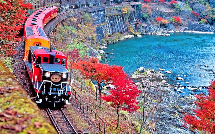 Sagano Romantic Train passing through vibrant autumn foliage along a river in Kyoto, Japan.