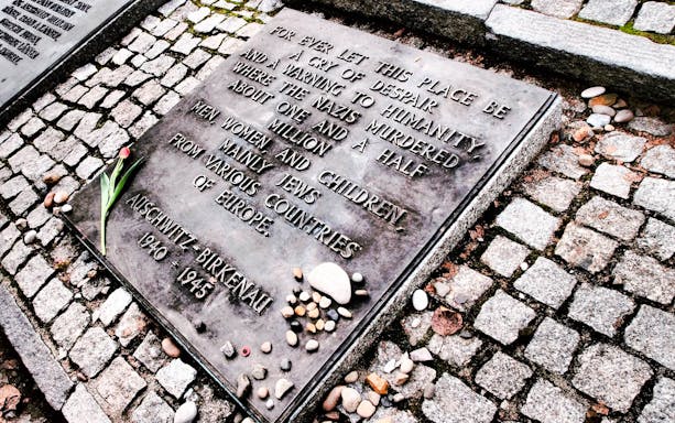 Memorial plaque at Auschwitz-Birkenau with stones and a tulip, commemorating Holocaust victims.