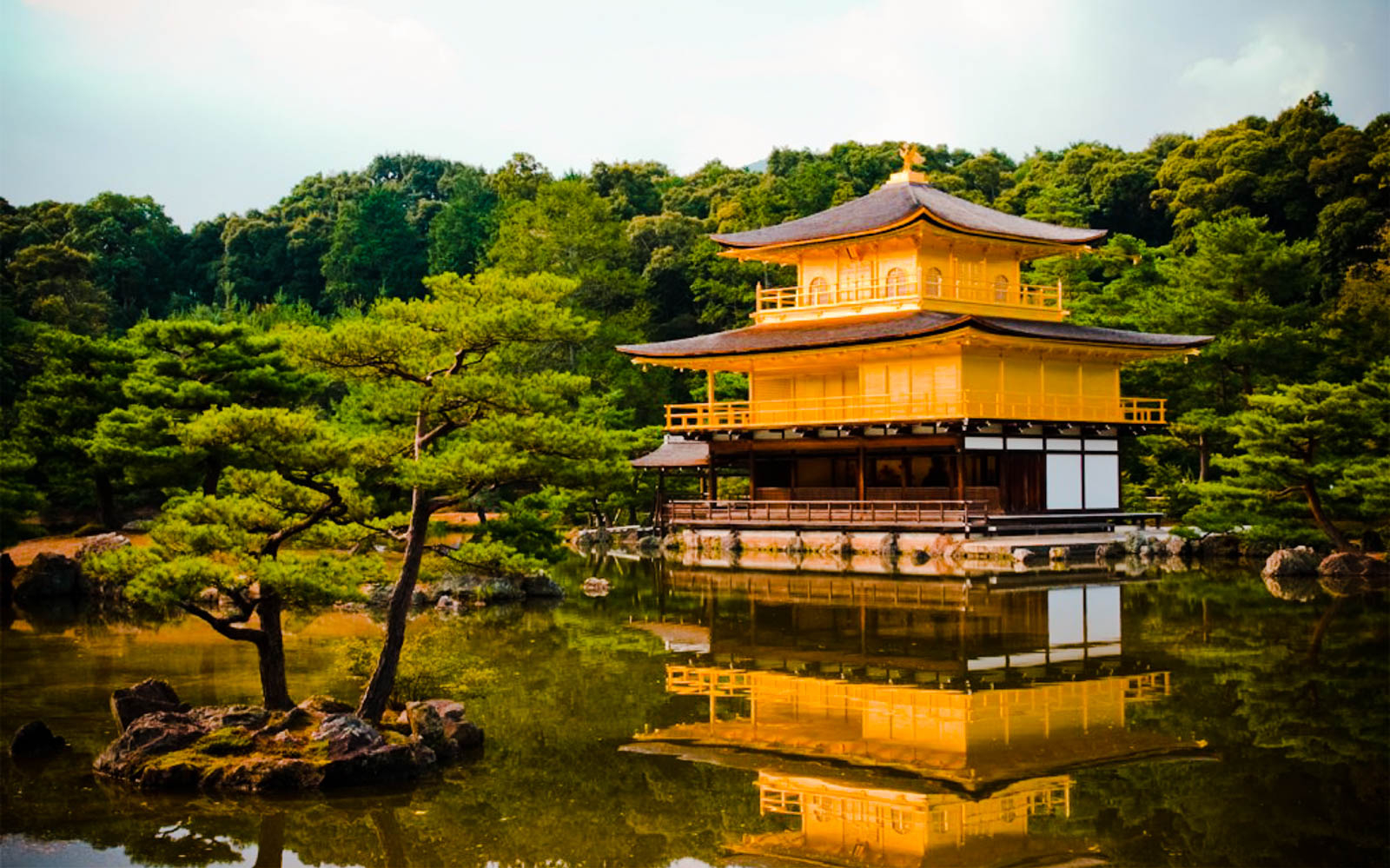 Kinkaku-ji Temple reflecting in a pond, surrounded by lush greenery in Kyoto.