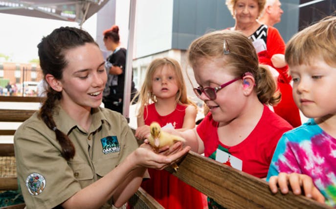 Children interacting with a duckling at Oakvale Wildlife Park.