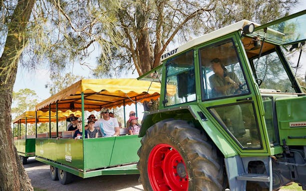 Tractor tour with visitors at Oakvale Wildlife Park.