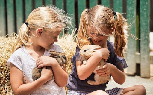 Children holding rabbits at Oakvale Wildlife Park.