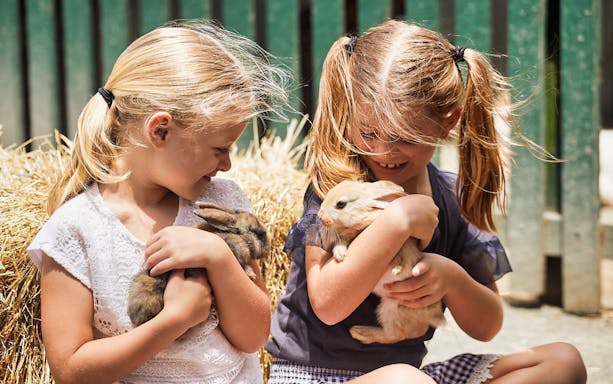 Children holding rabbits at Oakvale Wildlife Park.