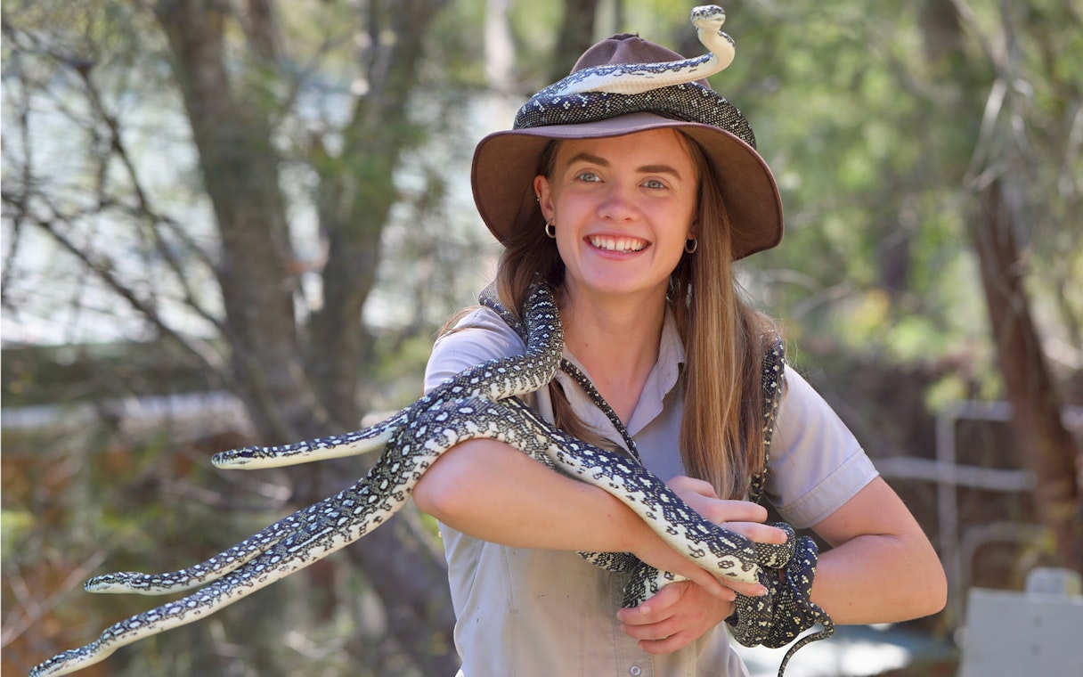 Tour guide holding a snake at Australian Reptile Park.