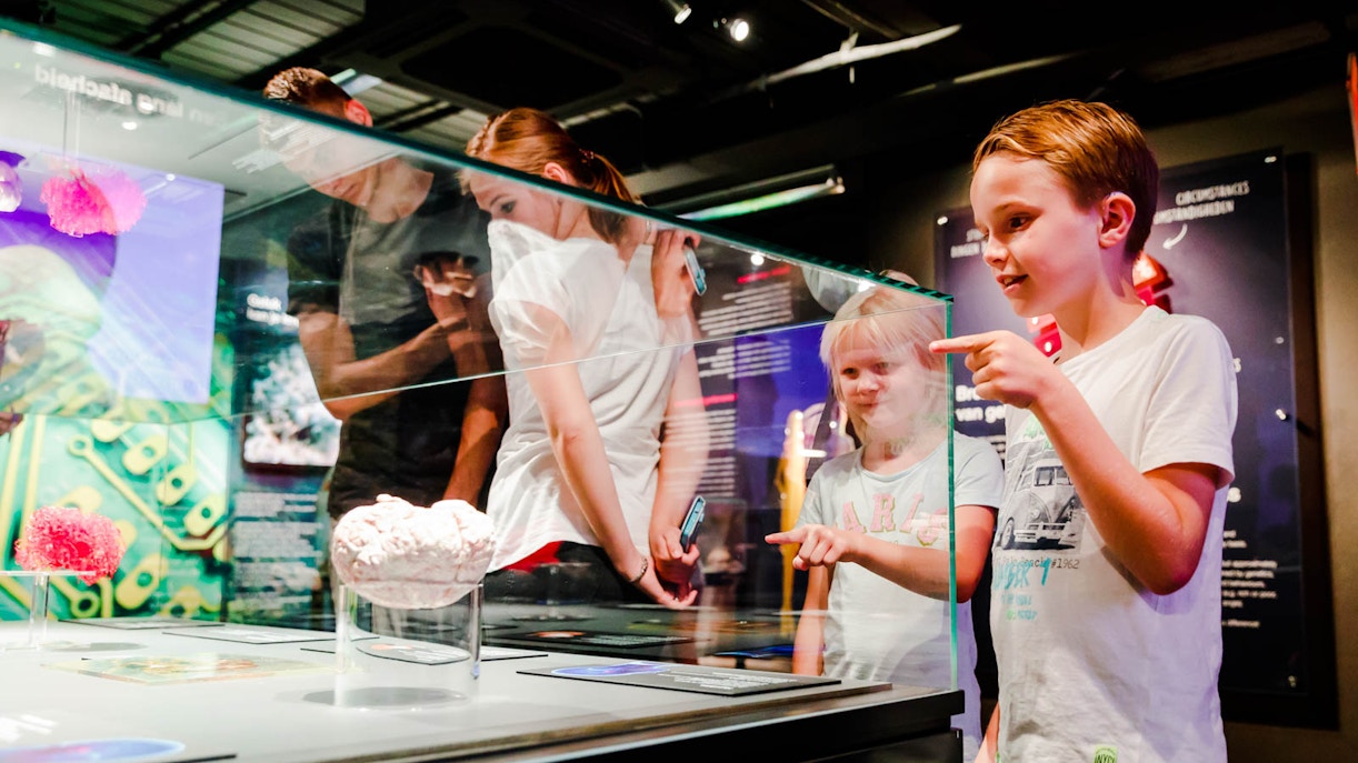 Body Worlds Amsterdam Timings