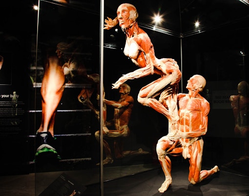 Body Worlds Amsterdam