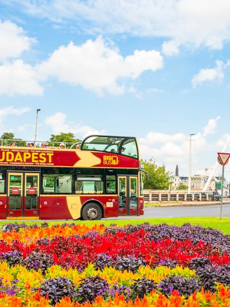 Budapest Big Bus passing by colorful flower beds near Elizabeth Bridge.