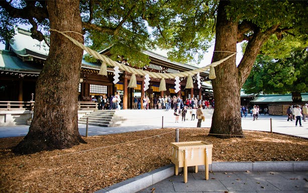 Visitors at Meiji Shrine in Tokyo during the Amazing Tokyo Morning Half Day Tour.