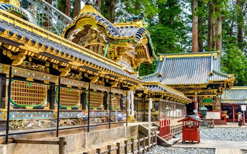 1 Day Nikko & NinjaTour (Toshogu Shrine & Nikko Edomura)