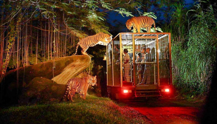 Indonesia & Savannah Zones