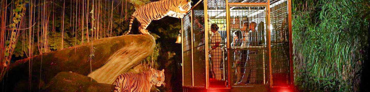 Biglietti per il Safari notturno di Bali