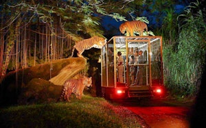 Bali Safari and Marine Park: Tickets