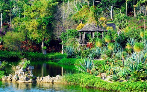 tickets to southeast botanical gardens-1