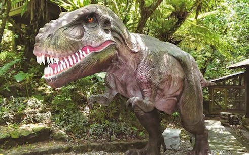 Dino Park Yanbaru Subtropical Forest Admission Ticket in Okinawa